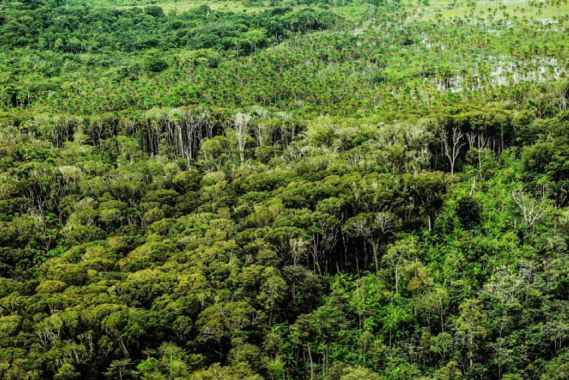 Reprodução: Agência Câmara de Notícias