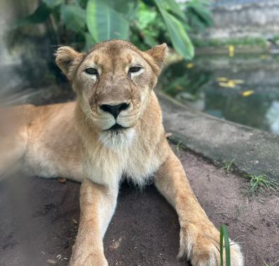 Reprodução: PMJP / Assessoria