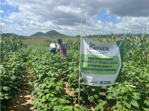 Reprodução: Governo da Paraíba