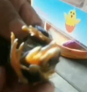 Foto: Reprodução/ Twitter