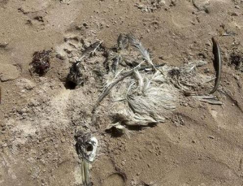 Foto: Reprodução/ Instagram